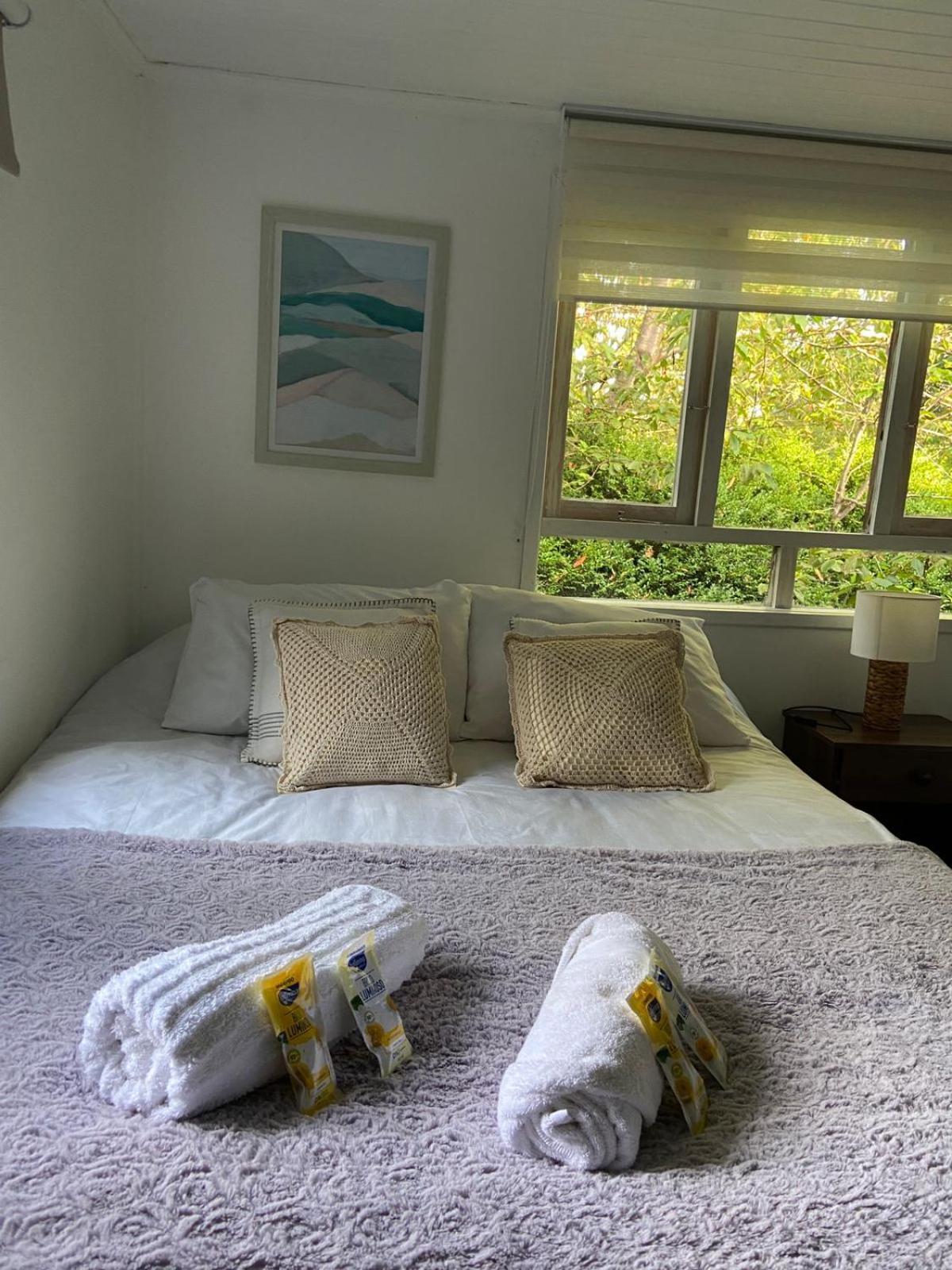 Hostel Isla Del Rey Valdivia Dış mekan fotoğraf