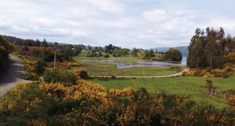 Hostel Isla Del Rey Valdivia Dış mekan fotoğraf